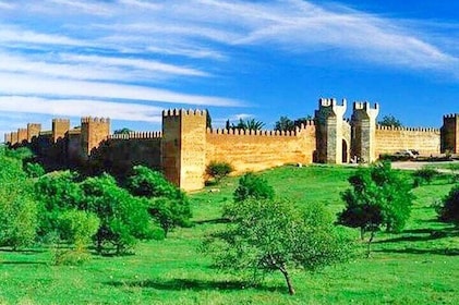 Rabat Full-Day Small Group Tour from Casablanca