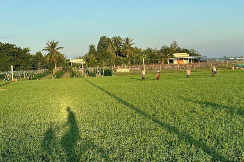 Mekong Delta Tour Getaways 3Days 2Nighs Homestay