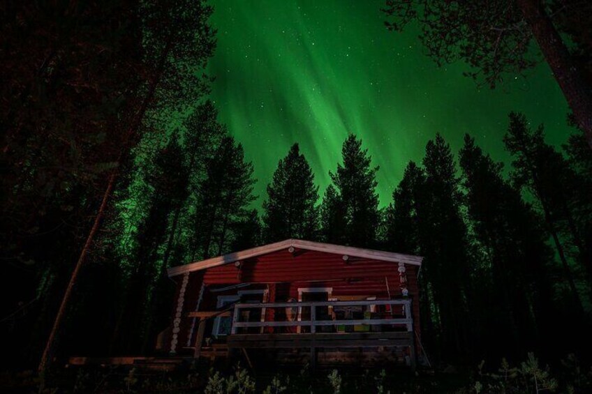 Log Sauna Evening in the Wilderness in Rovaniemi
