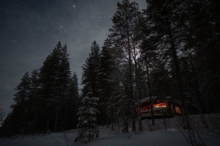 Log Sauna Evening in the Wilderness in Rovaniemi