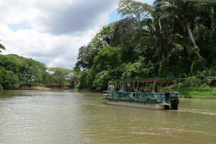 Caño Negro Wildlife Refuge Boat Tour