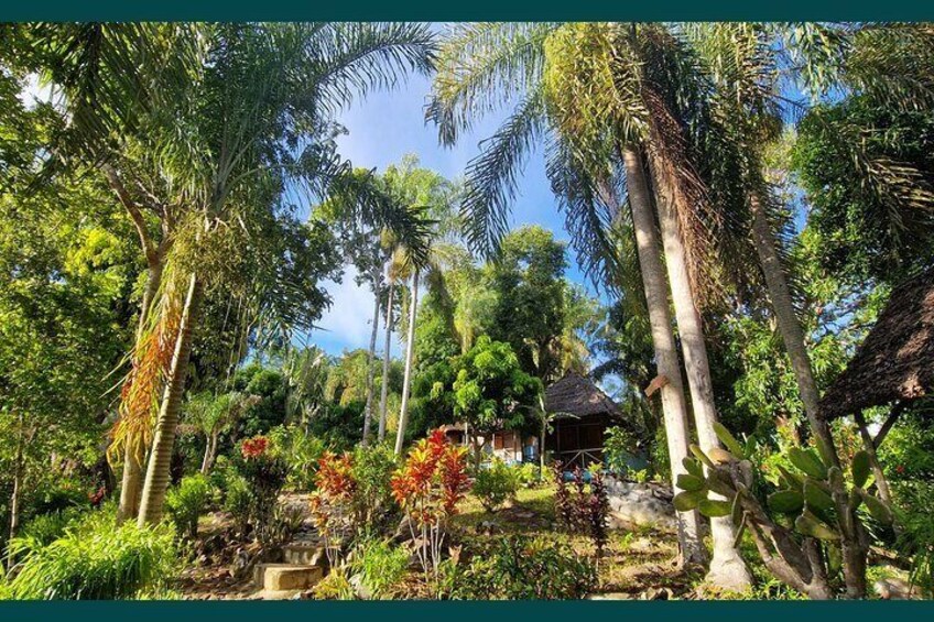 Overnight Jungle Trekking in Lokobe National Park