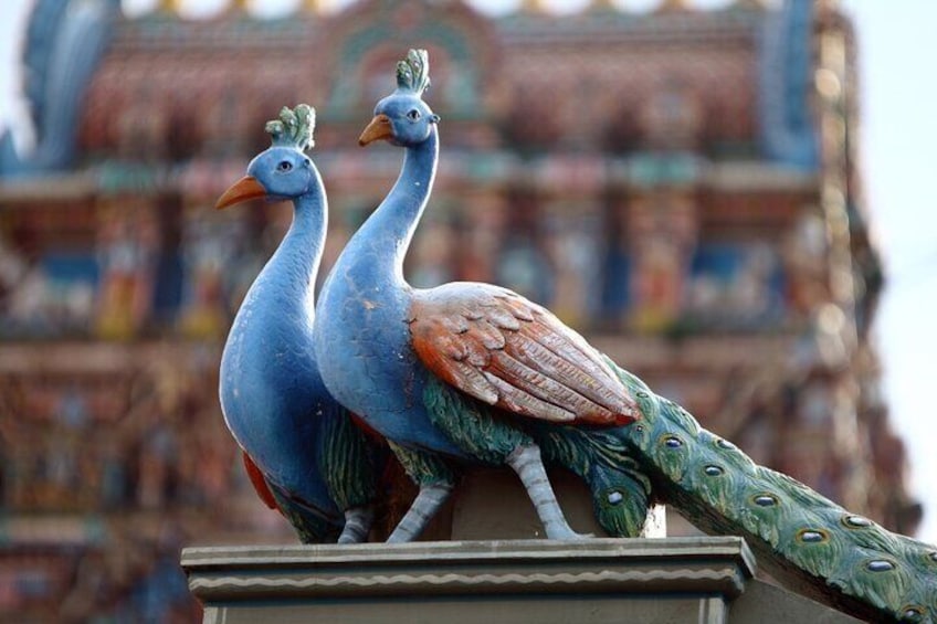 Full-Day Tour Private in Chennai (Madras)