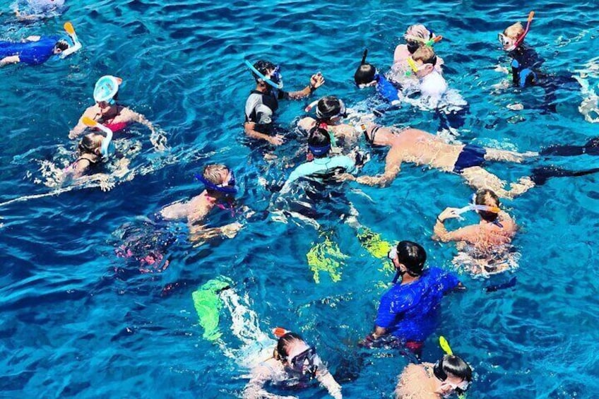 3-Hour Private Snorkeling at Muscat