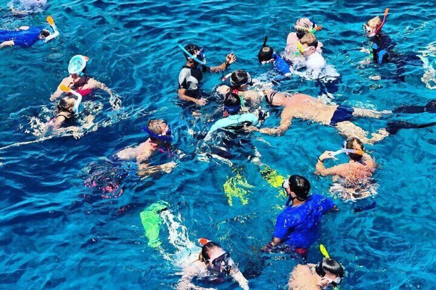 3-Hour Private Snorkeling at Muscat