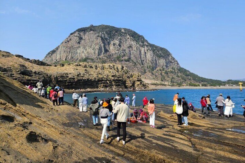 Private 2Days Tour a lot of Experience Driver in jeju island 