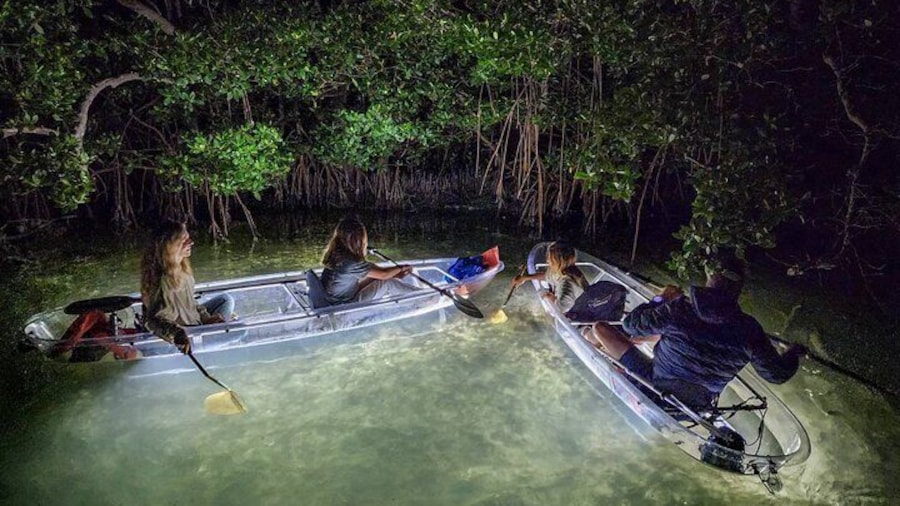 Clear Kayak LED Night Glass Bottom Tour - Anna Maria Island