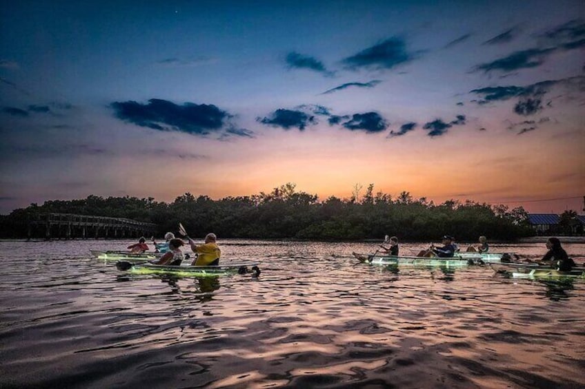 Clear Kayak LED Night Glass Bottom Tour - Anna Maria Island