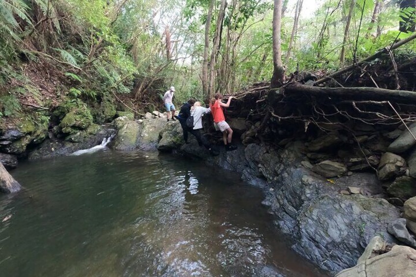 Jungle River Trek: private tour in Yanbaru, north Okinawa