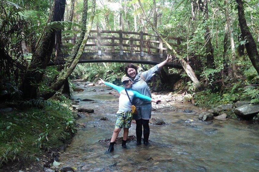 Private Jungle River Trek in Yanbaru