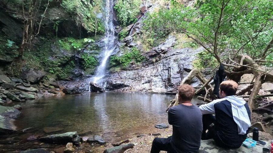 Jungle River Trek: private tour in Yanbaru, north Okinawa