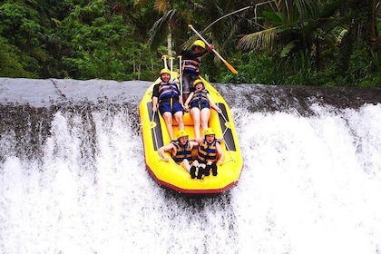 Bali White Water Rafting with Transfer & Lunch (Less Stairs)