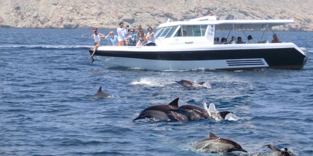 Picture 1 for Activity Muscat: Dolphin Watching Boat Tour