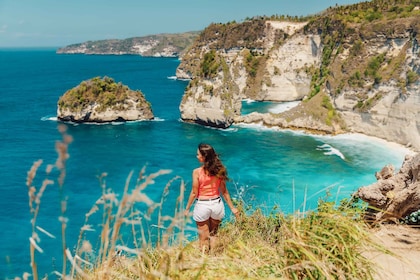 Bali Lo más destacado de Penida Oriental Excursión a la Casa del Árbol y Lu...