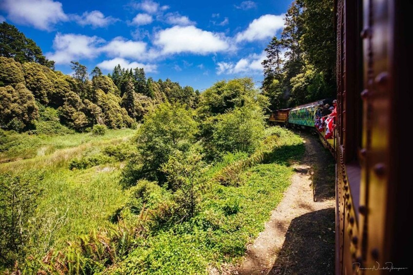 Picture 1 for Activity Mendocino County: Skunk Train Pudding Creek Train Ride