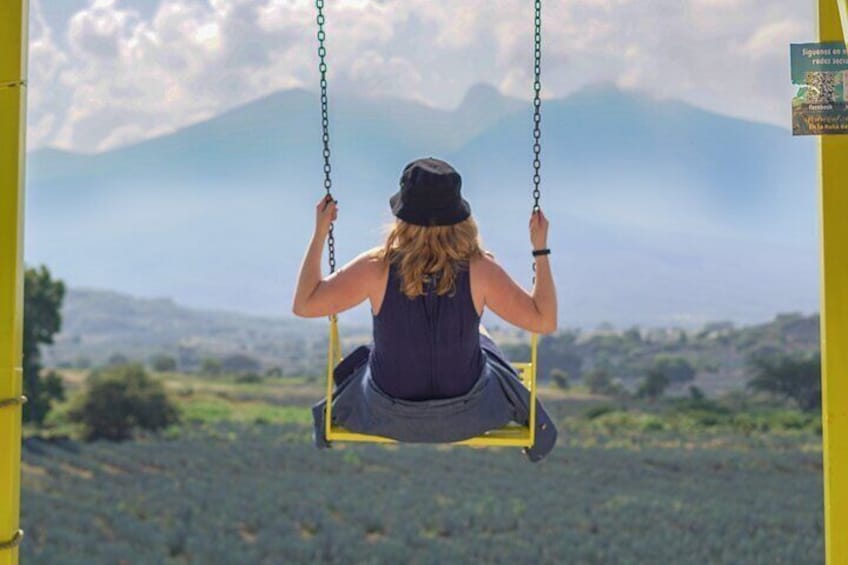 The giant swings with a spectacular view