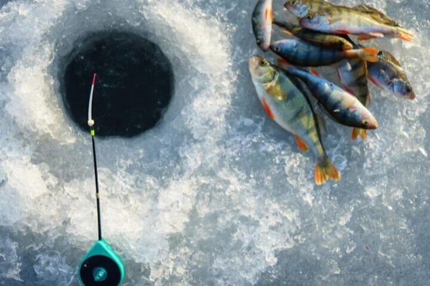 2-Hour Ice Fishing Experience in Rovaniemi, Finland