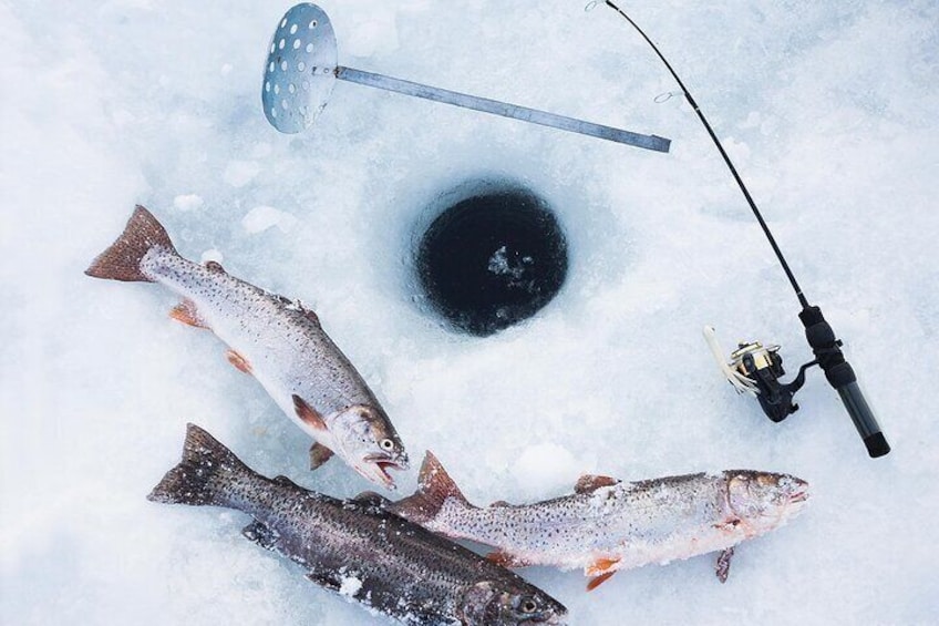 2-Hour Ice Fishing Experience in Rovaniemi, Finland