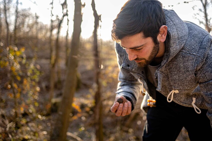 Picture 2 for Activity Langhe: Sunset Truffle Hunting with Tasting and Wine