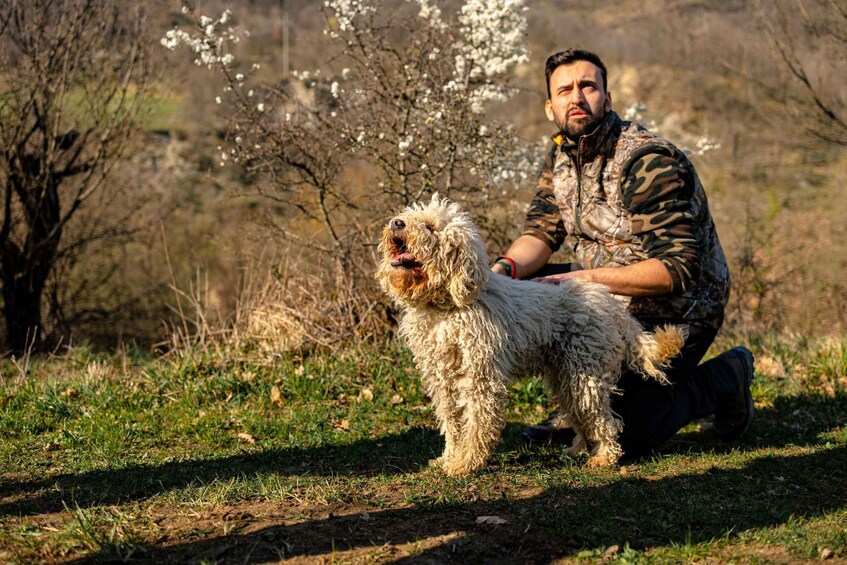 Picture 7 for Activity Langhe: Sunset Truffle Hunting with Tasting and Wine