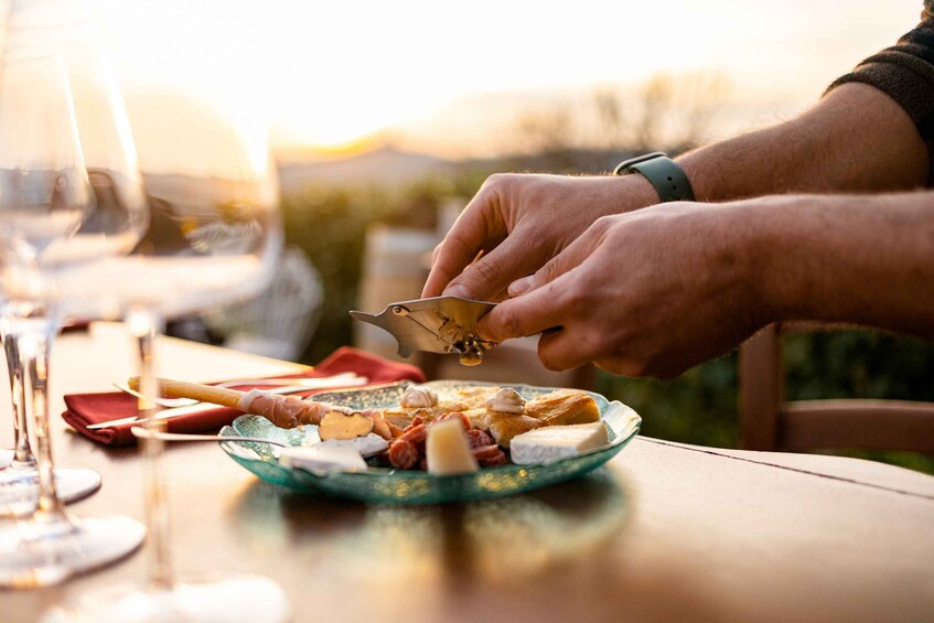 Picture 10 for Activity Langhe: Sunset Truffle Hunting with Tasting and Wine