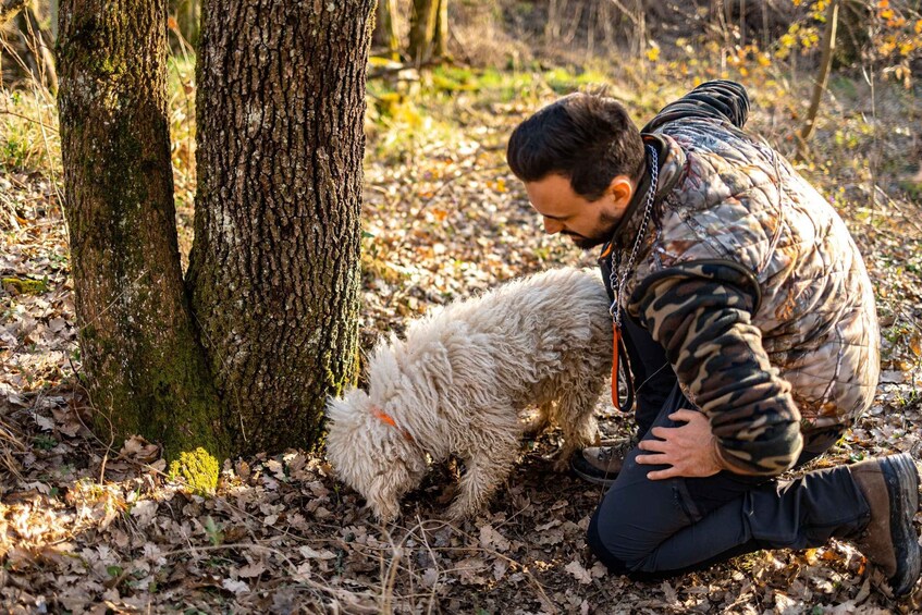 Picture 4 for Activity Langhe: Sunset Truffle Hunting with Tasting and Wine