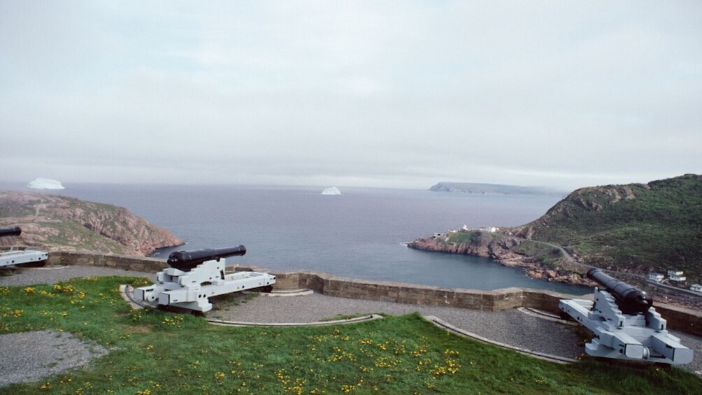 St. John’s Small Group Tour with Quidi Vidi Village and Signal Hill