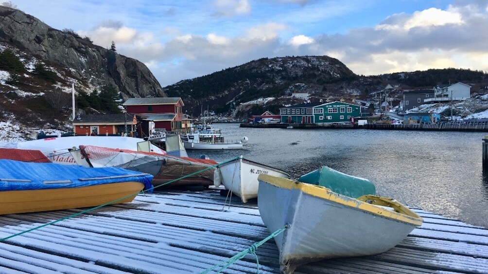 St. John’s Small Group Tour with Quidi Vidi Village and Signal Hill