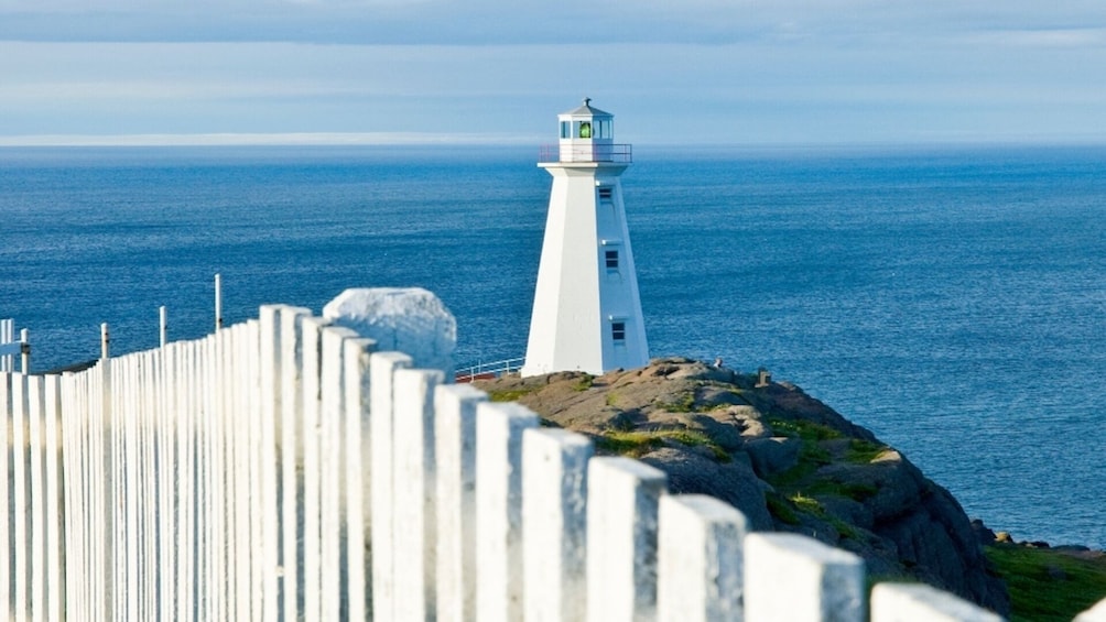 St. John’s Small Group Tour with Iceberg Quest Boat Cruise