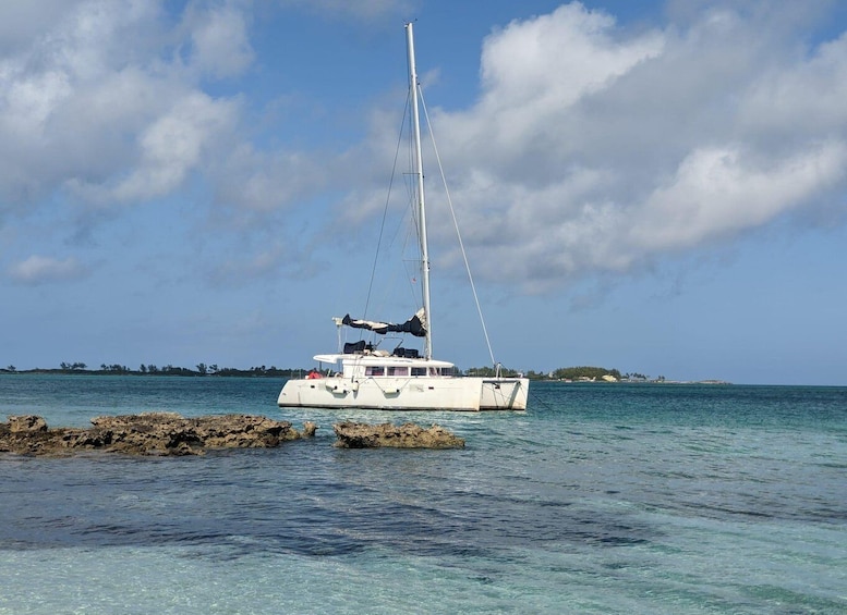 Picture 23 for Activity Nassau: Snorkeling, Pig Beach, Swim with Turtles, and Lunch