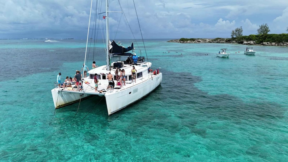 Nassau: Snorkeling, Pig Beach, Swim with Turtles, and Lunch