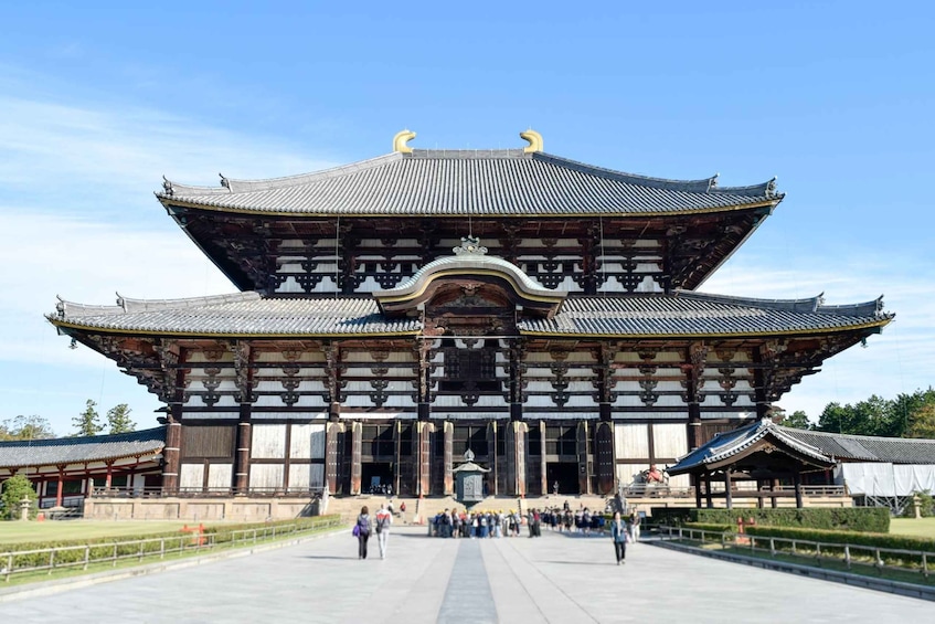 Picture 2 for Activity From Kyoto: Nara Guided Half Day Bus Tour