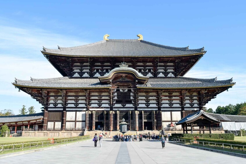 Picture 2 for Activity From Kyoto: Nara Guided Half Day Bus Tour