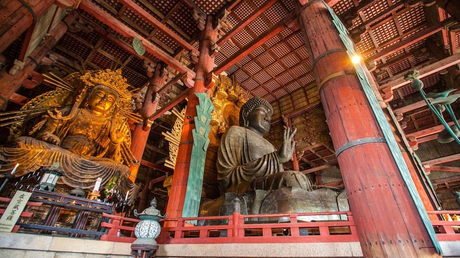 Picture 1 for Activity From Kyoto: Nara Guided Half Day Bus Tour