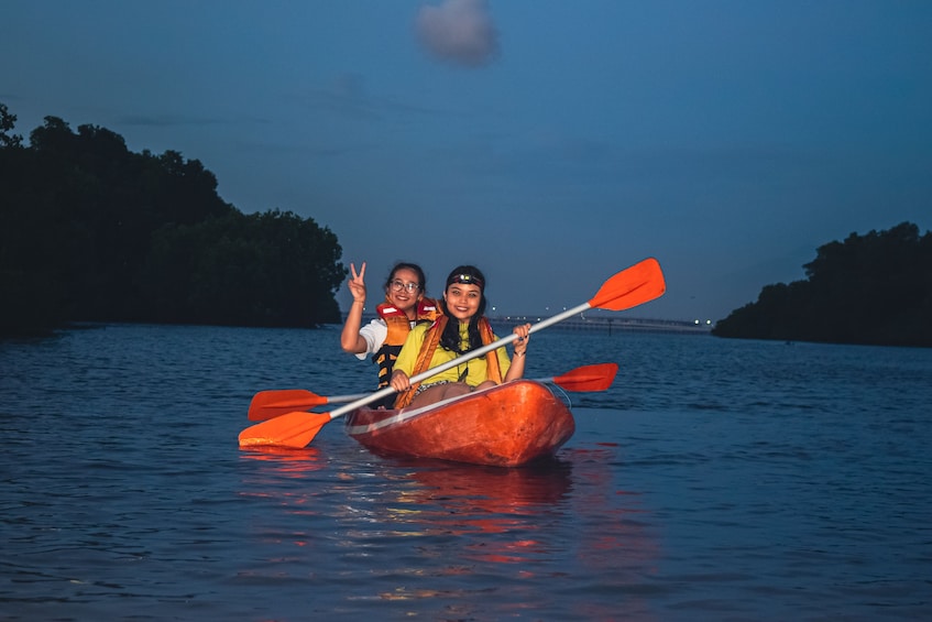 Evening Mangrove Canoe Tour with Dinner