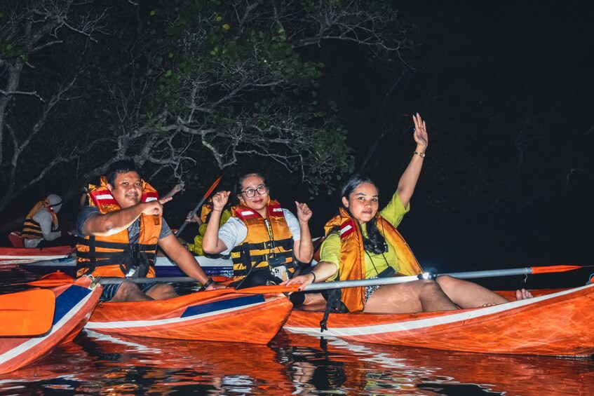 Evening Mangrove Canoe Tour with Dinner