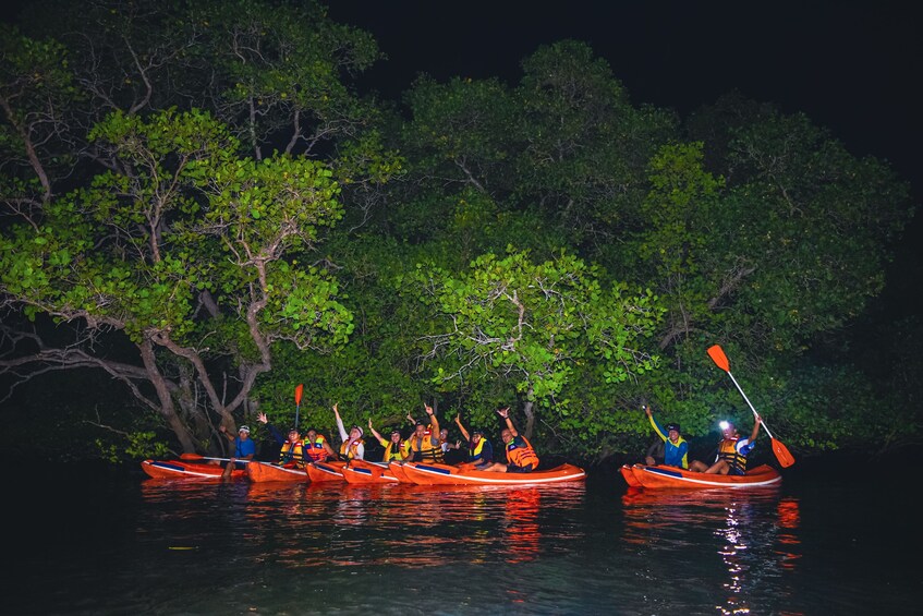 Evening Mangrove Canoe Tour with Dinner