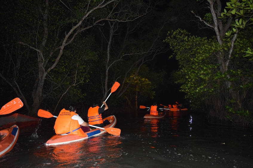 Evening Mangrove Canoe Tour with Dinner