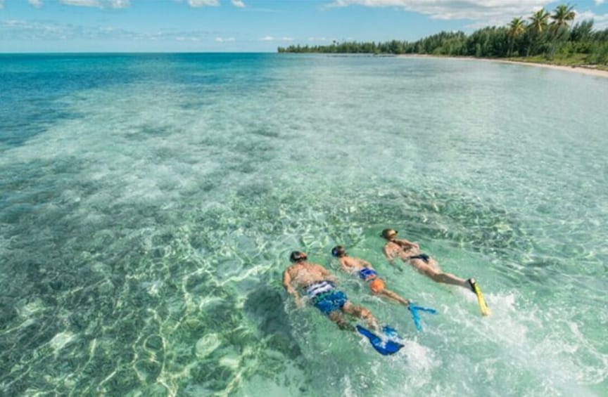 Bahamas Day Cruise with Hotel Pickup