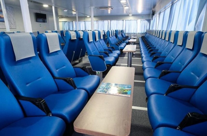 Bahamas Day Cruise with Hotel Pickup