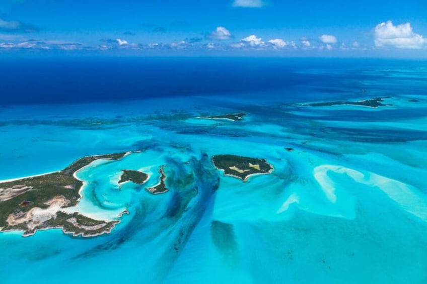 Bahamas Day Cruise with Hotel Pickup