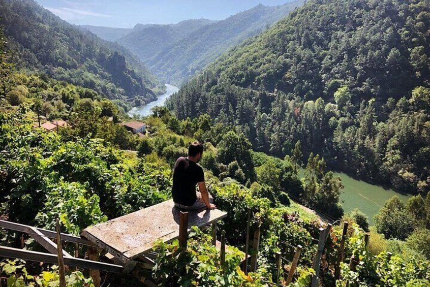 Tour from santaigo to Ribeira sacra with boat trip and 5 wine tastings