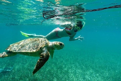 Snorkelling at Silk and Moho Caye