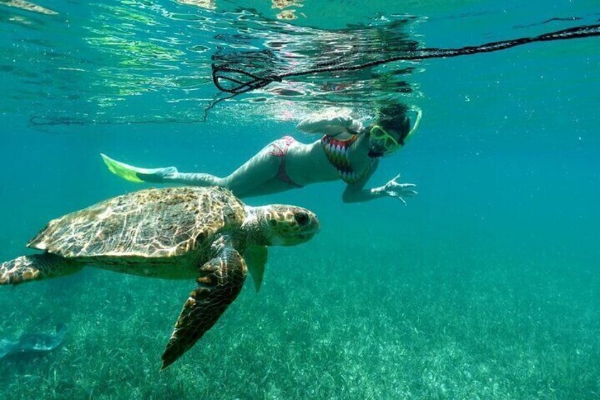 Snorkeling at Silk and Moho Caye