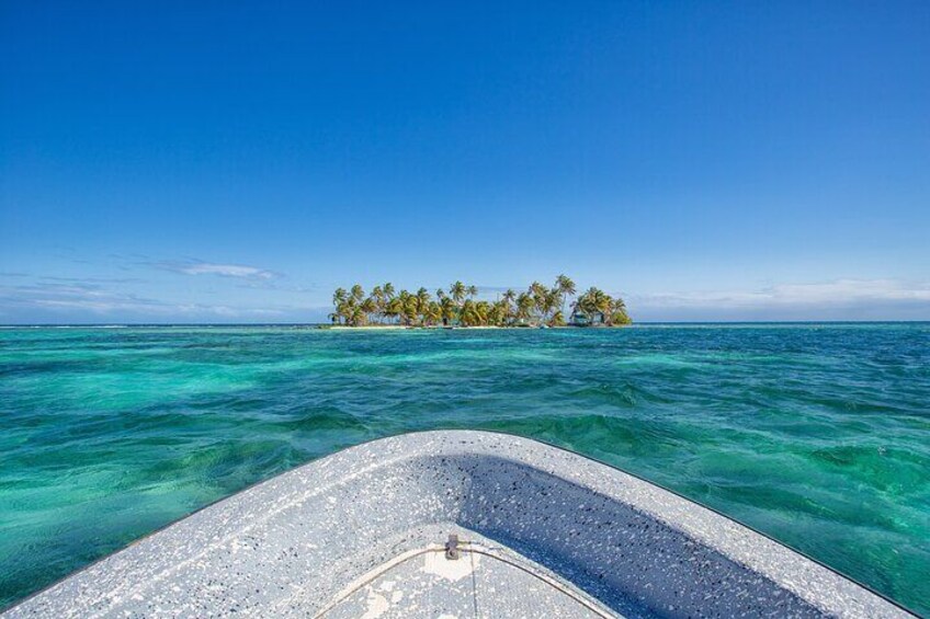 Snorkeling at Silk and Moho Caye