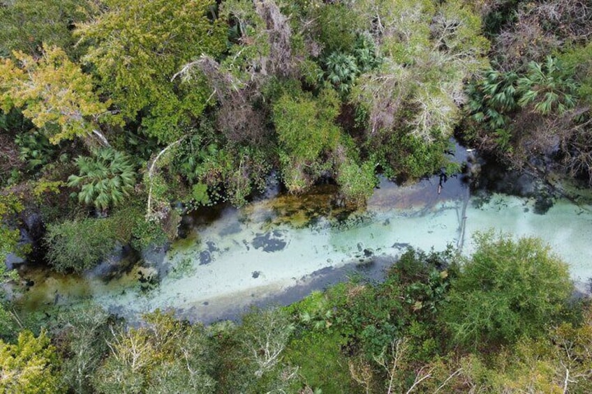 Emerald Cut Eco Excursion