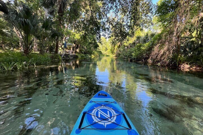 Emerald Cut Eco Excursion