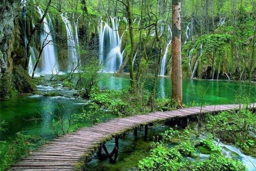 Full Day Private Tour to Plitvice Lakes from Split