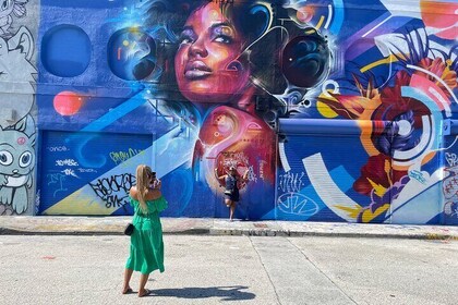 Culturele stadstour door Miami, verkenning van Little Havana en Wynwood