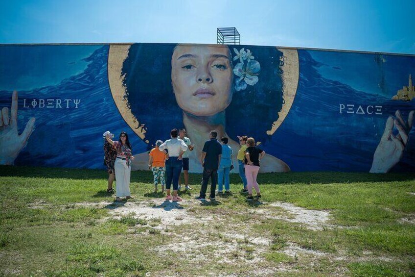 Miami Cultural city tour, Little Havana & Wynwood exploration